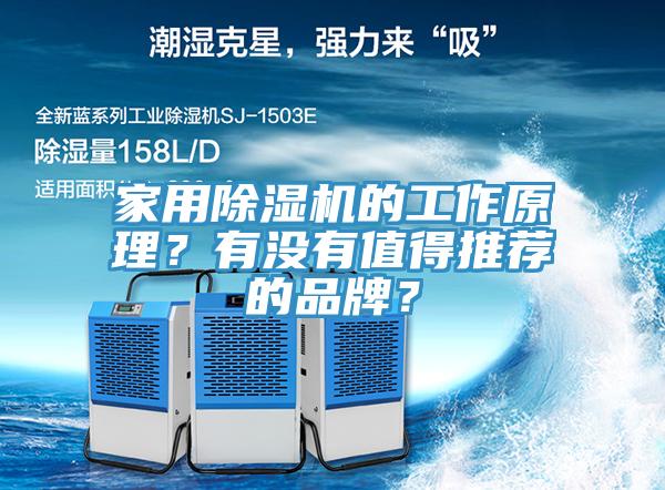 家用杏仁直播app最新版下载的工作原理？有没有值得推荐的品牌？