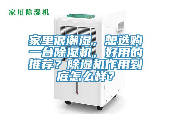 家里很潮湿，想选购一台杏仁直播app最新版下载，好用的推荐？杏仁直播app最新版下载作用到底怎么样？
