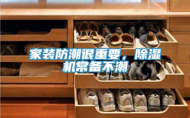 家装防潮很重要，杏仁直播app最新版下载常备不潮