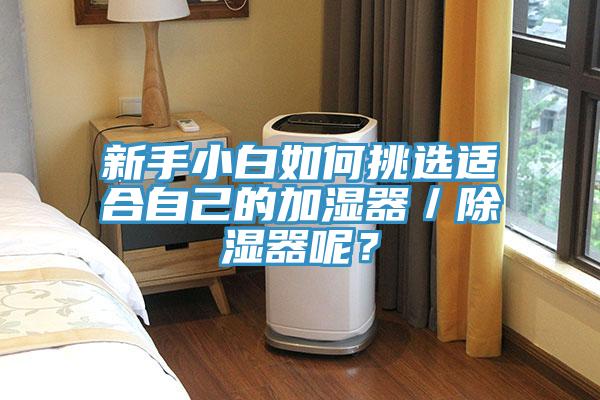 新手小白如何挑选适合自己的加湿器／除湿器呢？