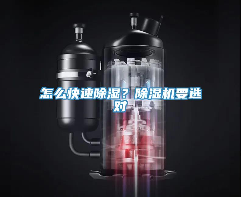怎么快速除湿？杏仁直播app最新版下载要选对