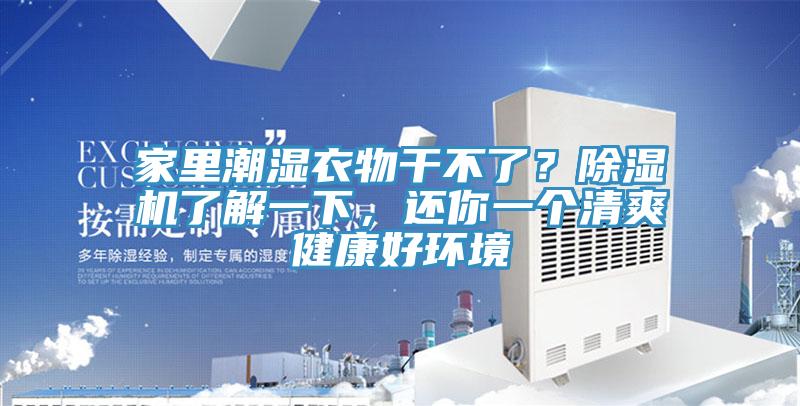 家里潮湿衣物干不了？杏仁直播app最新版下载了解一下，还你一个清爽健康好环境