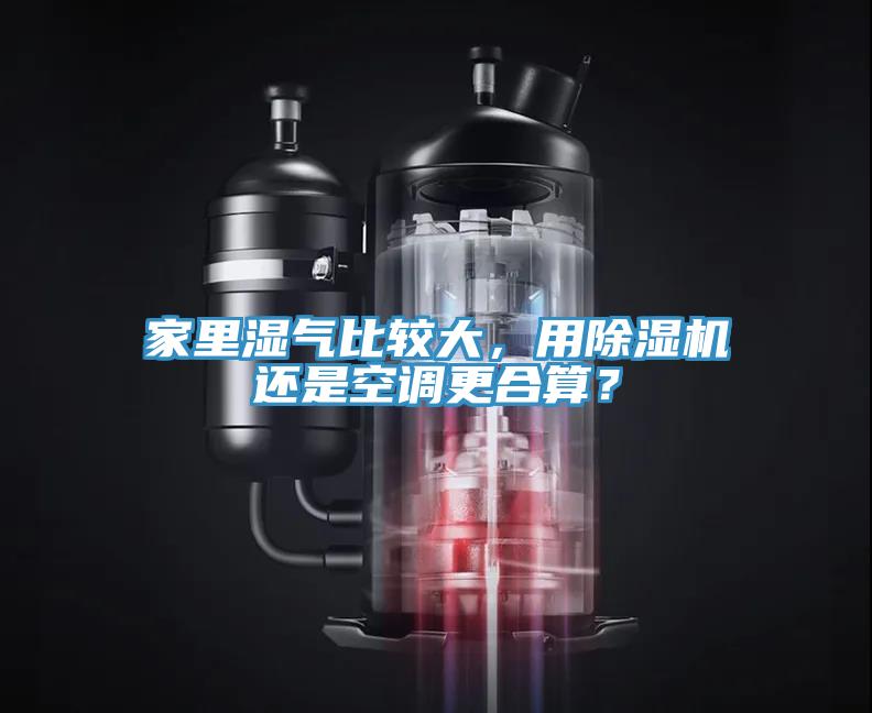 家里湿气比较大，用杏仁直播app最新版下载还是空调更合算？