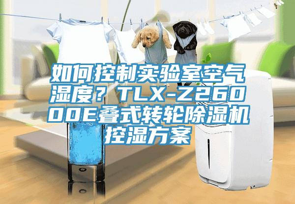 如何控制实验室空气湿度？TLX-Z26000E叠式转轮杏仁直播app最新版下载控湿方案