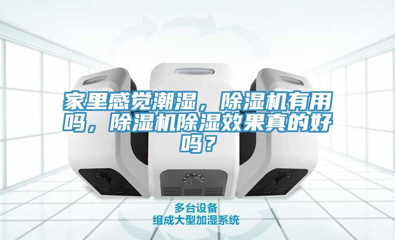家里感觉潮湿，杏仁直播app最新版下载有用吗，杏仁直播app最新版下载除湿效果真的好吗？