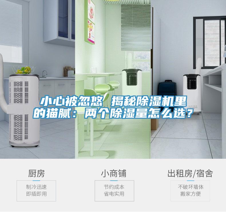 小心被忽悠 揭秘杏仁直播app最新版下载里的猫腻：两个除湿量怎么选？