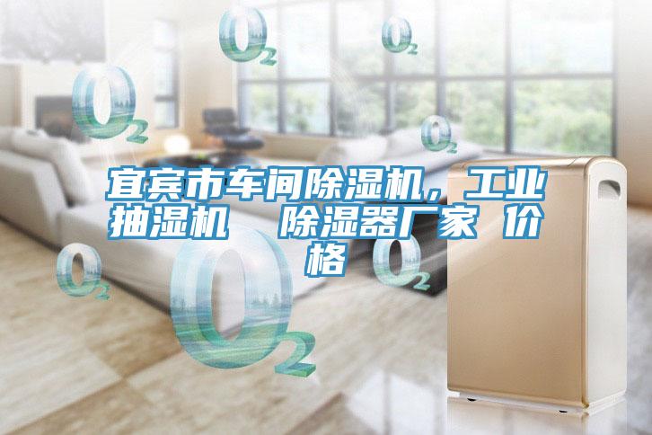 宜宾市车间杏仁直播app最新版下载，工业抽湿机  除湿器厂家 价格
