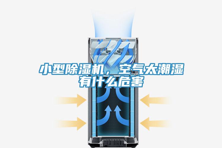 小型杏仁直播app最新版下载，空气太潮湿有什么危害