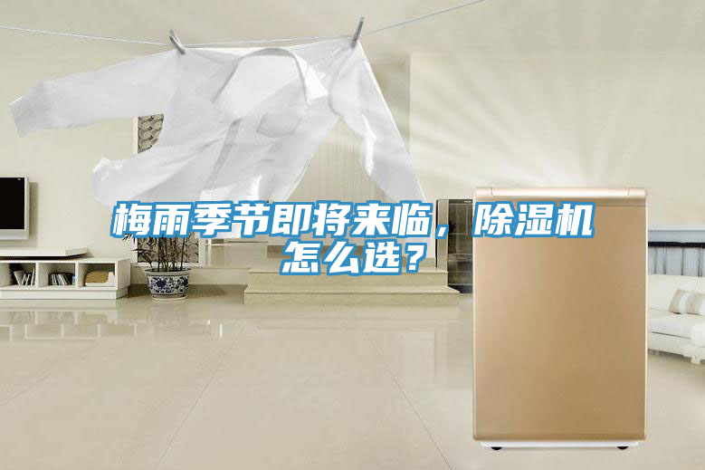 梅雨季节即将来临，杏仁直播app最新版下载怎么选？