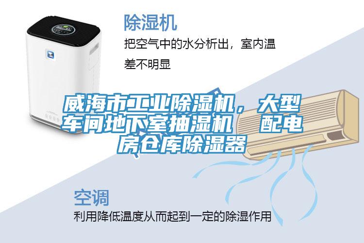 威海市工业杏仁直播app最新版下载，大型车间地下室抽湿机  配电房仓库除湿器