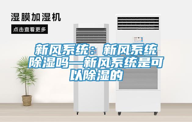 新风系统：新风系统除湿吗—新风系统是可以除湿的