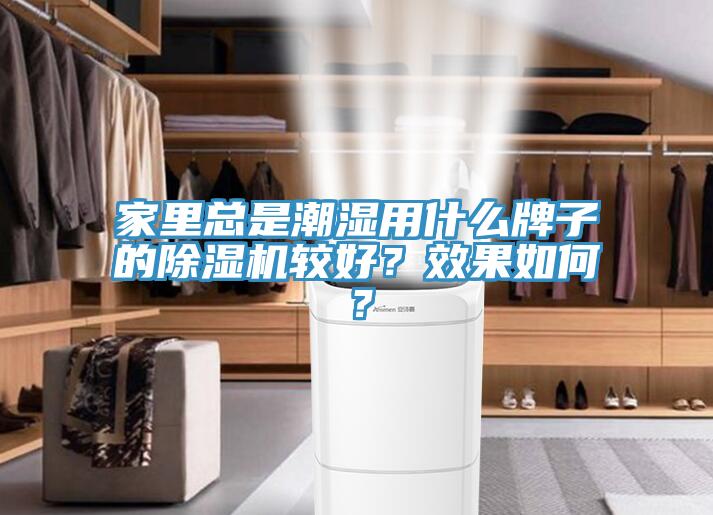 家里总是潮湿用什么牌子的杏仁直播app最新版下载较好？效果如何？