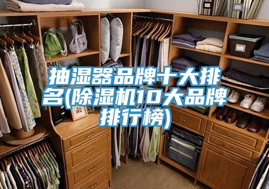 抽湿器品牌十大排名(杏仁直播app最新版下载10大品牌排行榜)