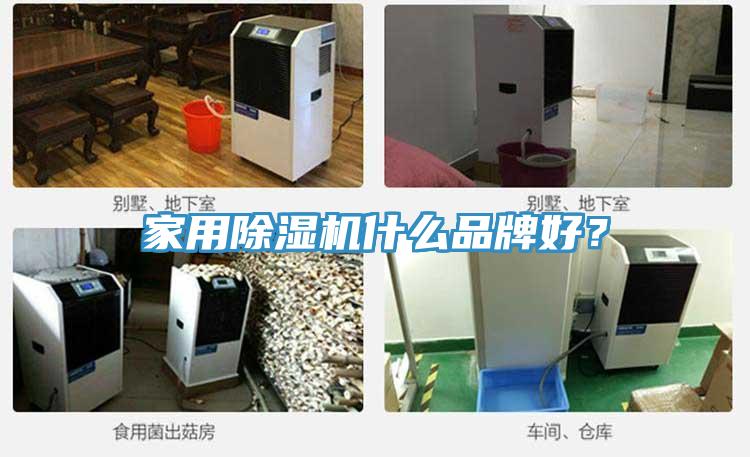 家用杏仁直播app最新版下载什么品牌好？