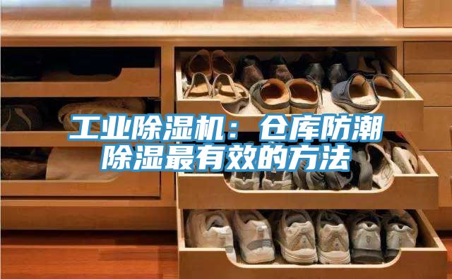 工业杏仁直播app最新版下载：仓库防潮除湿最有效的方法