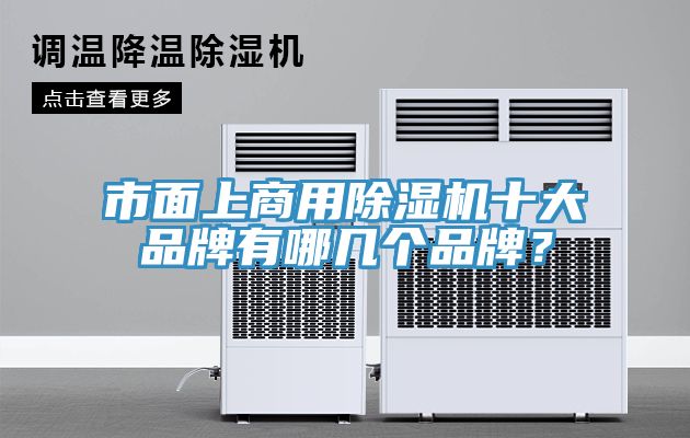市面上商用杏仁直播app最新版下载十大品牌有哪几个品牌？