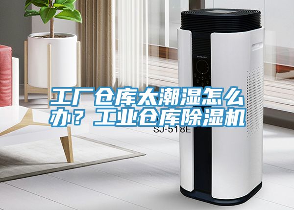 工厂仓库太潮湿怎么办？工业仓库杏仁直播app最新版下载