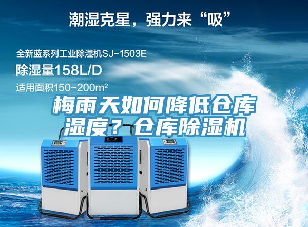 梅雨天如何降低仓库湿度？仓库杏仁直播app最新版下载