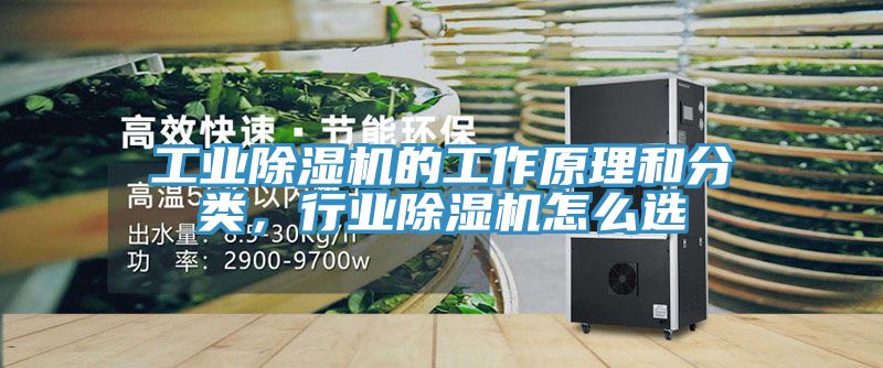 工业杏仁直播app最新版下载的工作原理和分类，行业杏仁直播app最新版下载怎么选