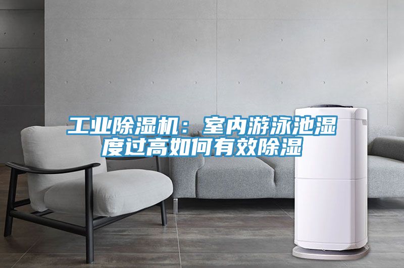 工业杏仁直播app最新版下载：室内游泳池湿度过高如何有效除湿
