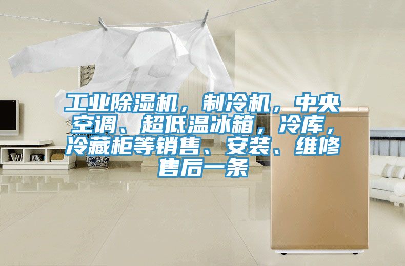 工业杏仁直播app最新版下载，制冷机，中央空调、超低温冰箱，冷库，冷藏柜等销售、安装、维修售后一条