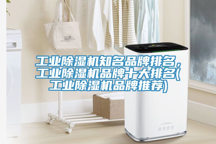 工业杏仁直播app最新版下载知名品牌排名，工业杏仁直播app最新版下载品牌十大排名(工业杏仁直播app最新版下载品牌推荐)