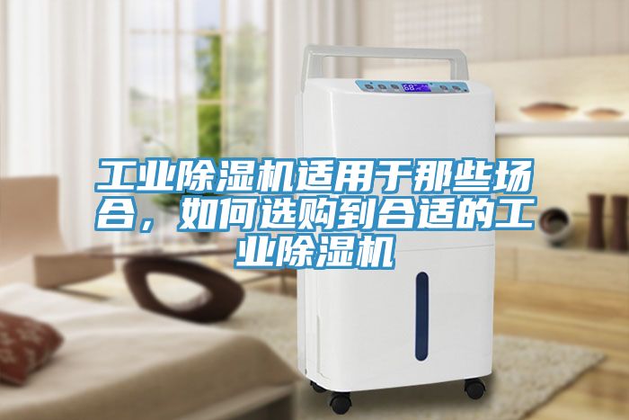 工业杏仁直播app最新版下载适用于那些场合，如何选购到合适的工业杏仁直播app最新版下载