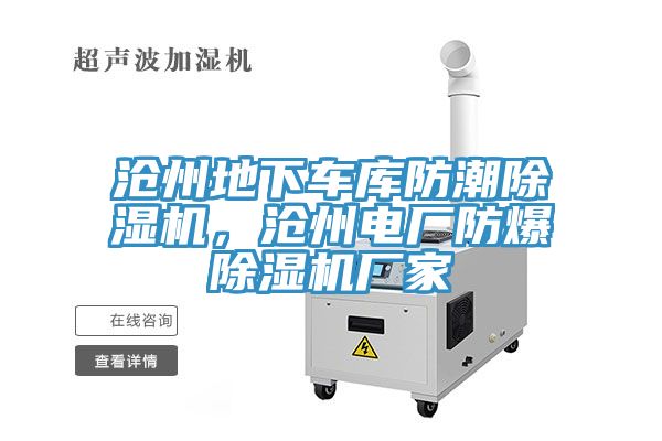 沧州地下车库防潮杏仁直播app最新版下载，沧州电厂防爆杏仁直播app最新版下载厂家