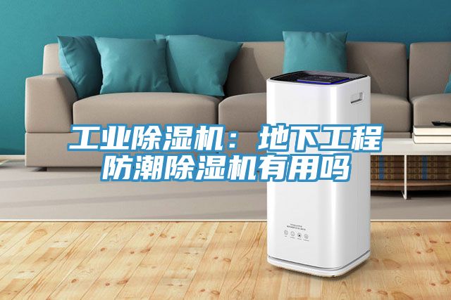 工业杏仁直播app最新版下载：地下工程防潮杏仁直播app最新版下载有用吗