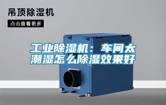 工业杏仁直播app最新版下载：车间太潮湿怎么除湿效果好