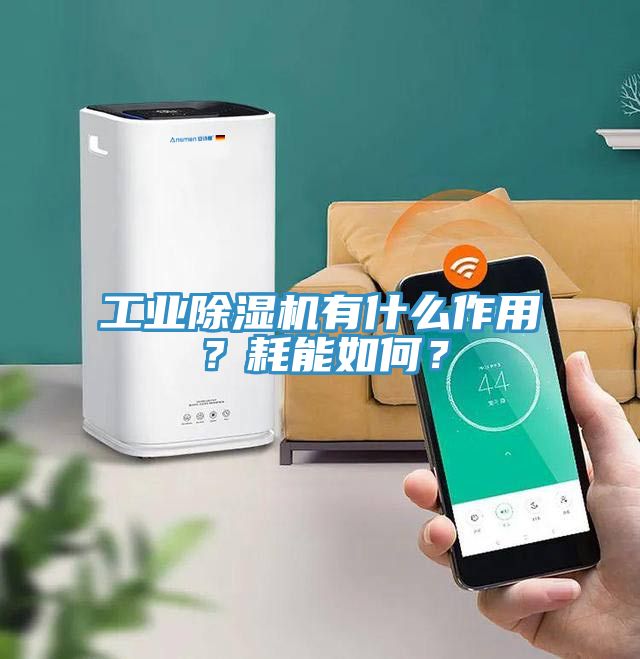 工业杏仁直播app最新版下载有什么作用？耗能如何？