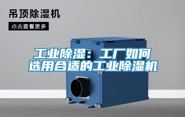 工业除湿：工厂如何选用合适的工业杏仁直播app最新版下载