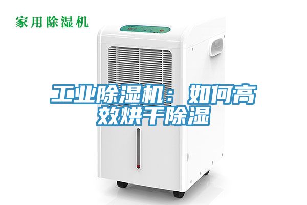 工业杏仁直播app最新版下载：如何高效烘干除湿