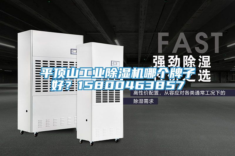 平顶山工业杏仁直播app最新版下载哪个牌子好？15800463857