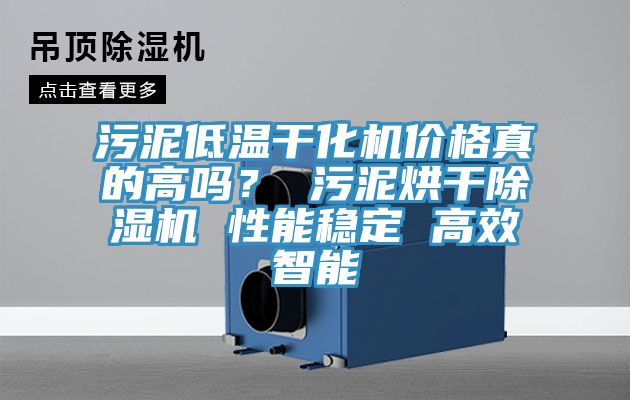 污泥低温干化机价格真的高吗？ 污泥烘干杏仁直播app最新版下载 性能稳定 高效智能