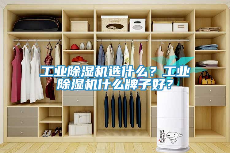 工业杏仁直播app最新版下载选什么？工业杏仁直播app最新版下载什么牌子好？