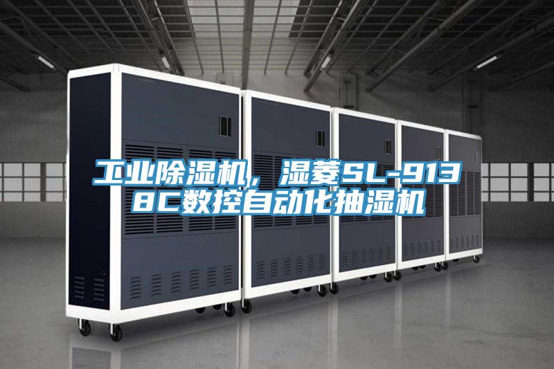 工业杏仁直播app最新版下载，湿菱SL-9138C数控自动化抽湿机