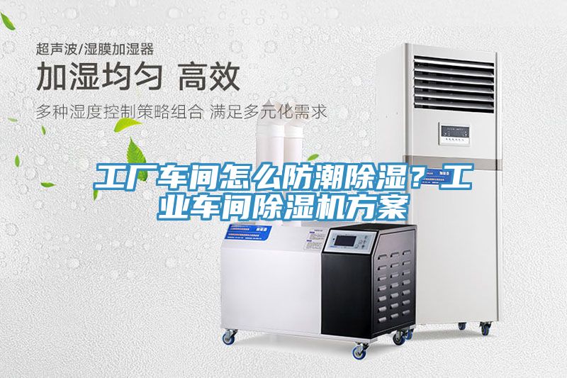 工厂车间怎么防潮除湿？工业车间杏仁直播app最新版下载方案