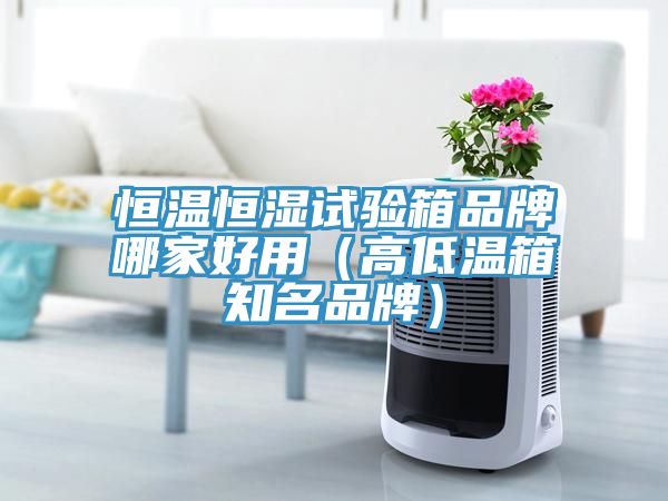 恒温恒湿试验箱品牌哪家好用（高低温箱知名品牌）