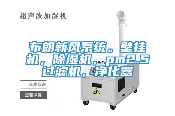 布朗新风系统。壁挂机，杏仁直播app最新版下载，pm2.5过滤机，净化器