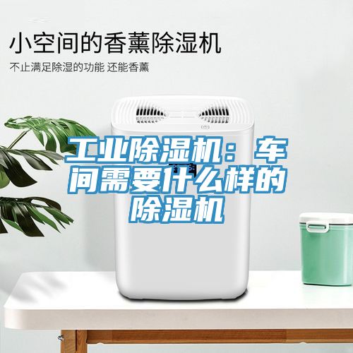 工业杏仁直播app最新版下载：车间需要什么样的杏仁直播app最新版下载