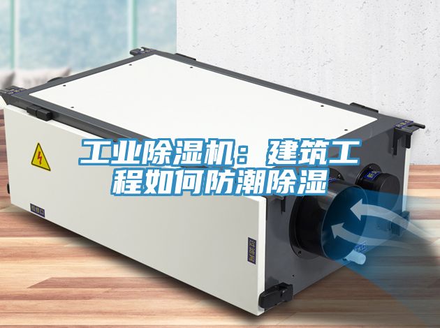 工业杏仁直播app最新版下载：建筑工程如何防潮除湿