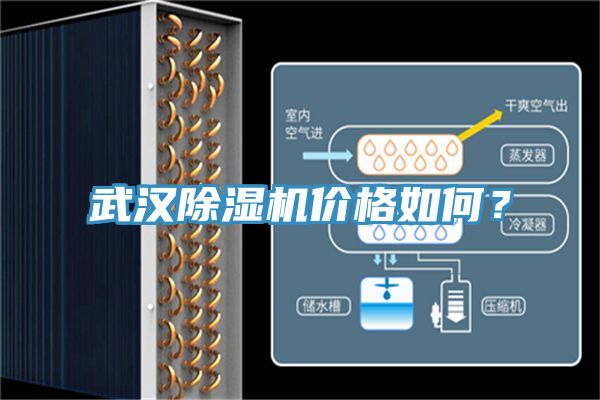 武汉杏仁直播app最新版下载价格如何？