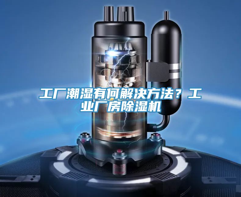 工厂潮湿有何解决方法？工业厂房杏仁直播app最新版下载