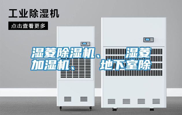 湿菱杏仁直播app最新版下载、  湿菱加湿机、  地下室除