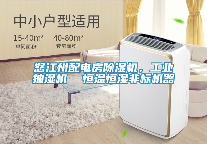 怒江州配电房杏仁直播app最新版下载，工业抽湿机  恒温恒湿非标机器