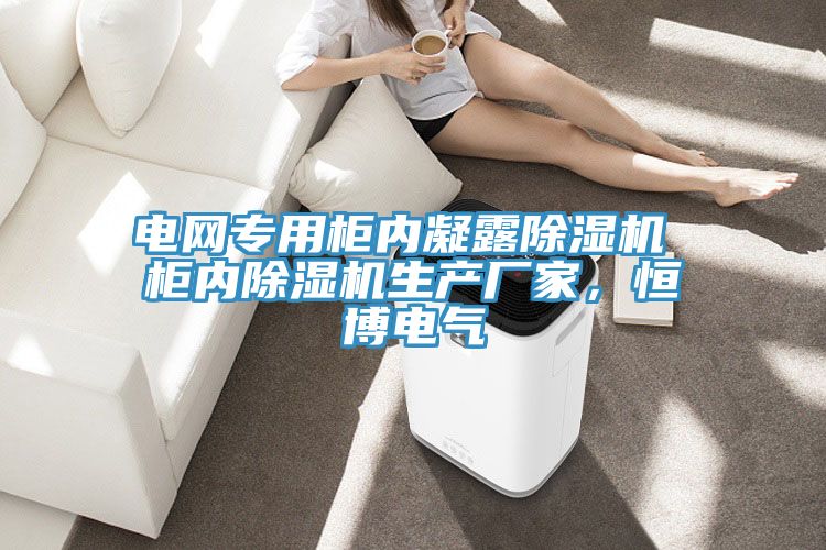 电网专用柜内凝露杏仁直播app最新版下载 柜内杏仁直播app最新版下载生产厂家，恒博电气