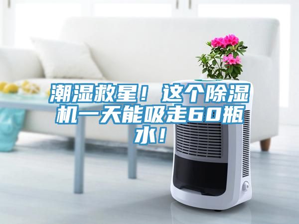 潮湿救星！这个杏仁直播app最新版下载一天能吸走60瓶水！