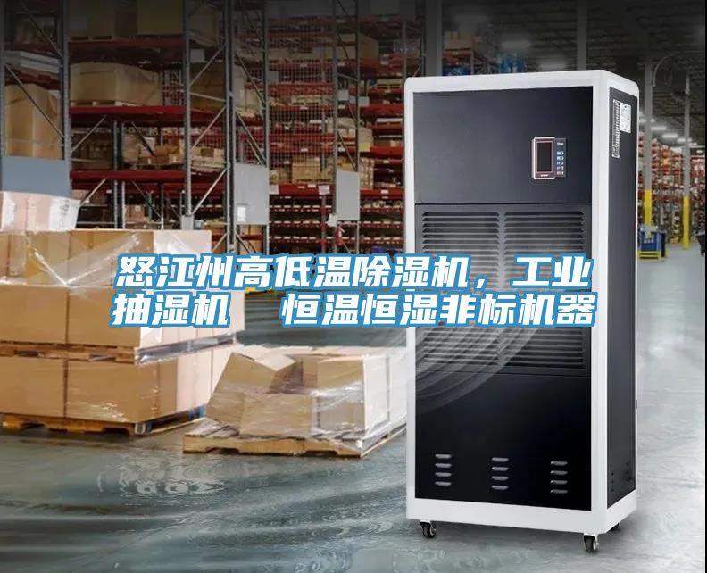 怒江州高低温杏仁直播app最新版下载，工业抽湿机  恒温恒湿非标机器