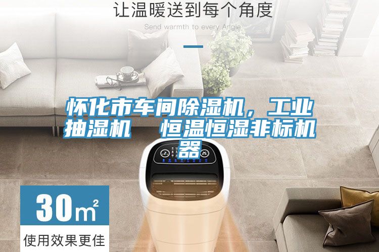 怀化市车间杏仁直播app最新版下载，工业抽湿机  恒温恒湿非标机器